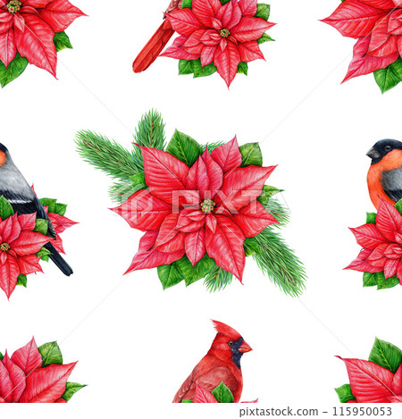Winter time festive seamless pattern. Vintage style illustration. Traditional Christmas decor, poinsettia flowers, birds painted elements. Winter season bright seamless pattern on white background 115950053