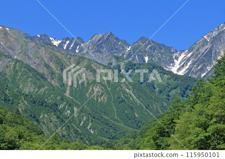 Northern Alps in early summer Tateyama mountain range mountain undo 115950101