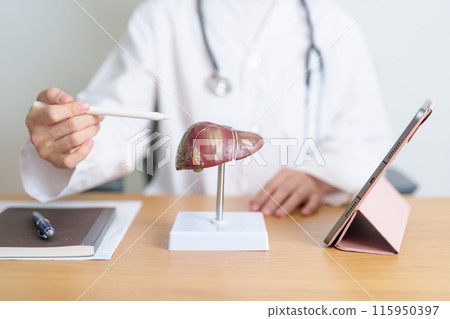 Doctor with human Liver model and tablet. Liver cancer and Tumor, Jaundice, Viral Hepatitis A, B, C, D, E, Cirrhosis, Failure, Enlarged, Hepatic Encephalopathy, Ascites Fluid in Belly and health 115950397