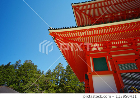 世界遺產高野山壇上伽藍主塔的景色 115950411