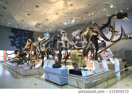 Osaka Museum of Natural History 115950572