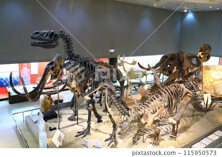 Osaka Museum of Natural History 115950573