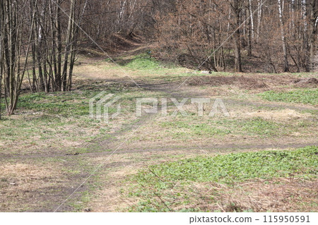 Early spring landscape with a small wild river, bare trees, reflections in the water 115950591