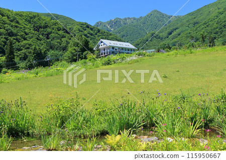Hakuba Goryu Ski Resort: Escar Garden in early summer 115950667