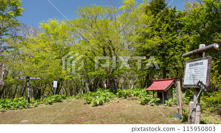 Doshi Mountain Range - Fresh greenery on Mt. Goseitai - Mountain trail scenery Doshi Mountain Range - Fresh greenery on Mt. Goseitai - Mountain trail scenery 115950803