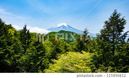 多志山地塊、綠意盎然的五佐山、山路風景 115950812