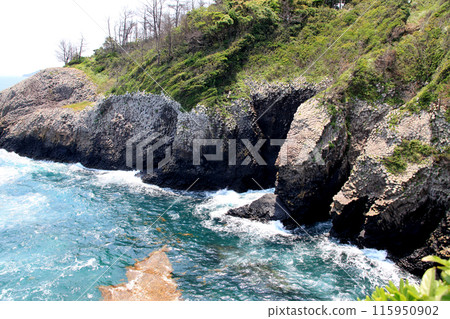 A spectacular view of Nanatsugama Garden in Karatsu City, Saga Prefecture 115950902