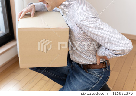 腰痛、腰痛、腰部拉傷的男性 115951379