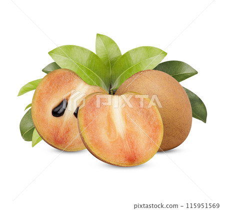 Fresh sapodilla with leaves isolated on white background 115951569