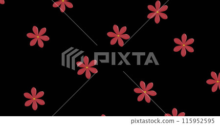Image of rows of chinese red flowers with copy space on black background 115952595