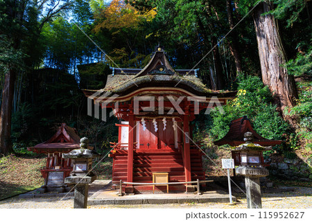 Tanzan Shrine and its branch shrine, Hiei Shrine, main hall during the autumn foliage season 115952627