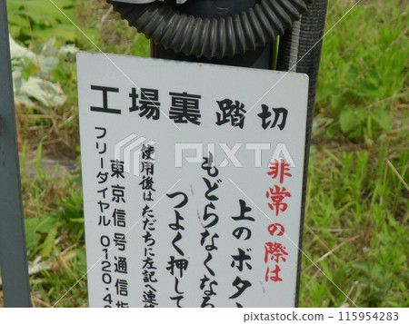 Rail transport in Japan　 115954283