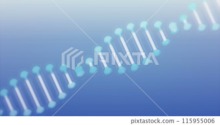 Image of rotating dna helix against blue background 115955006