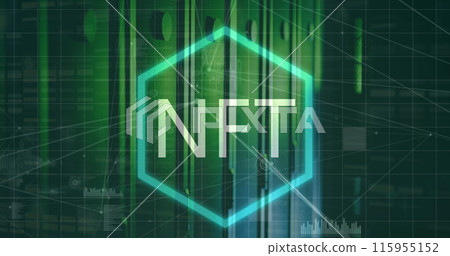 Image of nft text in hexagon over connected dots with graph and soundwaves icons on server room 115955152