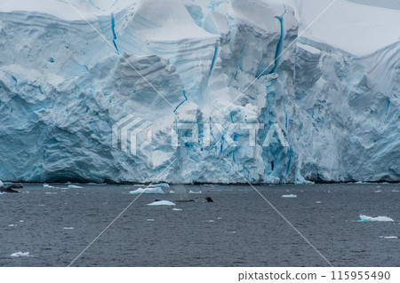 Landscape of the Antarctic Peninsula 115955490