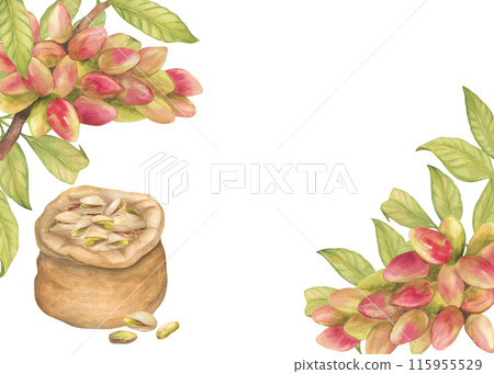 Frame with pistachio tree fruits,Pistachio nut in canvas bag , leaves watercolor illustration. Botanical drawing sketch stylized. Hand drawn, suitable for food packaging design 115955529