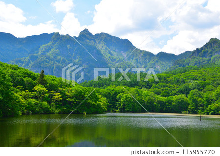 Early summer, Shinshu, Kagamiike pond 115955770