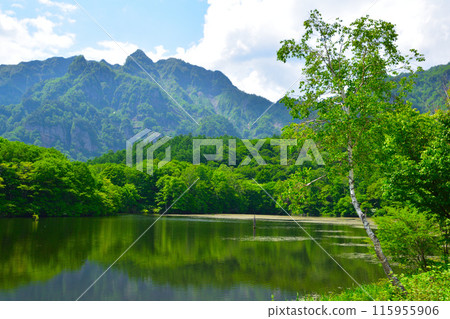 初夏信州鏡池 115955906