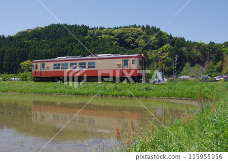 吉波五十鐵道穿過鄉村 吉波五十鐵道穿過鄉村 115955956