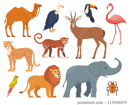 African animals and birds, set of characters. Elephant, giraffe, camel, cheetah, lion, flamingo, toucan, parrot, vulture, monkey. Wildlife animal of Africa, exotic safari travel. Vector. 115956074