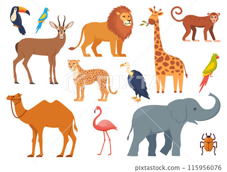 African animals and birds, set of characters. Elephant, giraffe, camel, cheetah, lion, flamingo, toucan, parrot, vulture, monkey. Wildlife animal of Africa, exotic safari travel. Vector. 115956076