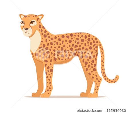 African cheetah isolated on white background. Vector. African cheetah isolated on white background. Vector. 115956080