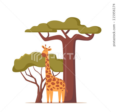 Giraffe in natural habitat. African savannah scenery with giraffe between trees. Vector. Giraffe in natural habitat. African savannah scenery with giraffe between trees. Vector. 115956174