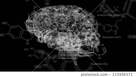 Image of molecular structure diagrams and symbols over rotating brain on black background Image of molecular structure diagrams and symbols over rotating brain on black background 115956571