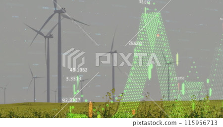 Image of diagrams and data processing over field with wind turbines 115956713