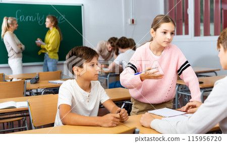 Schoolchildren study together in group lessons in school class 115956720