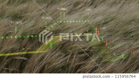 Image of diagrams and data processing over grass waving Image of diagrams and data processing over grass waving 115956764