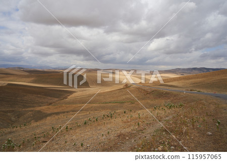 landscape with a field and winding road landscape with a field and winding road 115957065