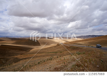 landscape with a field and winding road 115957069