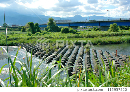 夏天的佐川河裡，香魚釣十分熱鬧 115957220