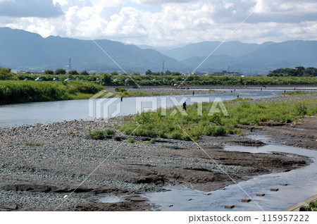 Sakawa River bustles with sweetfish fishing in summer Sakawa River bustles with sweetfish fishing in summer 115957222
