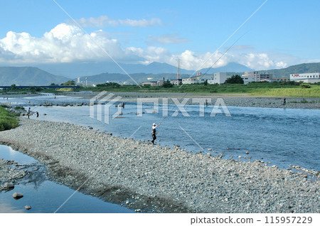 夏天的佐川河裡，香魚釣十分熱鬧 115957229