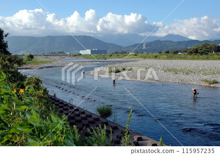 Sakawa River bustles with sweetfish fishing in summer Sakawa River bustles with sweetfish fishing in summer 115957235