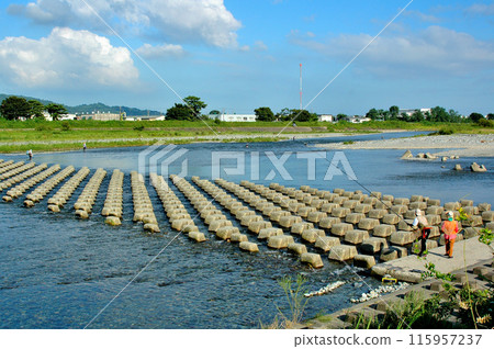 Sakawa River bustles with sweetfish fishing in summer 115957237