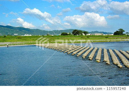 Sakawa River bustles with sweetfish fishing in summer Sakawa River bustles with sweetfish fishing in summer 115957240