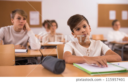 Young boy on lesson in school 115957401