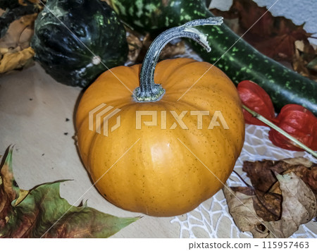 Halloween pumpkin lies on the table. Halloween pumpkin. Holiday pumpkin Halloween pumpkin lies on the table. Halloween pumpkin. Holiday pumpkin 115957463