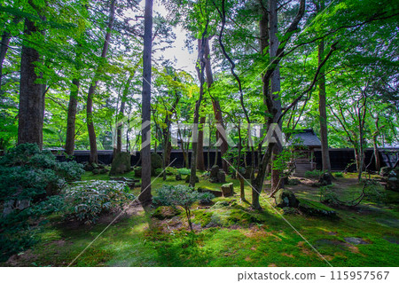 Kakunodate Town Kakunodate Town 115957567