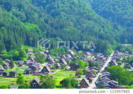 Early summer in Shirakawa-go, Ogimachi district 115957985