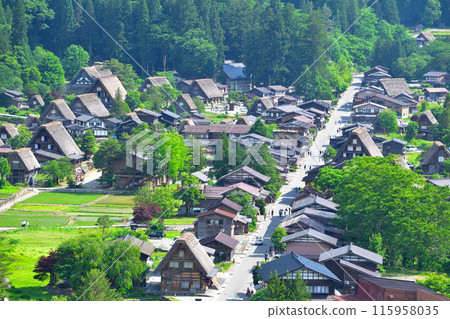 Early summer in Shirakawa-go, Ogimachi district 115958035