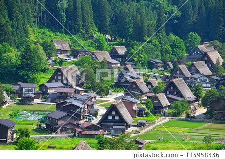 Early summer in Shirakawa-go, Ogimachi district Early summer in Shirakawa-go, Ogimachi district 115958336