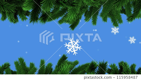 Pine branches are framing top and bottom, snowflakes falling against blue sky 115958487