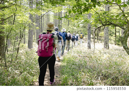 Men and women enjoying hiking Men and women enjoying hiking 115958550