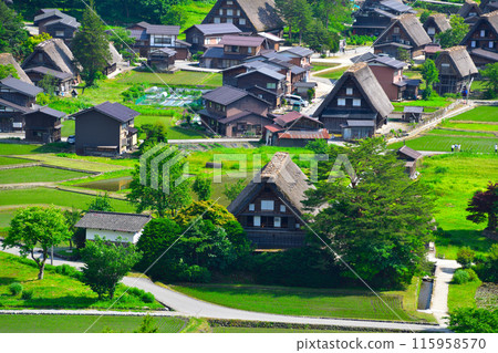Early summer in Shirakawa-go, Ogimachi district 115958570
