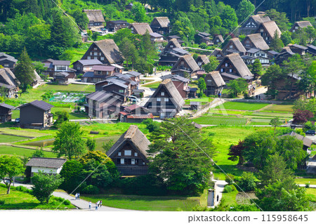 初夏，白川鄉荻町地區 115958645