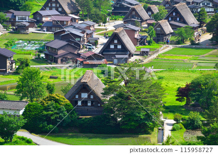 Early summer in Shirakawa-go, Ogimachi district 115958727
